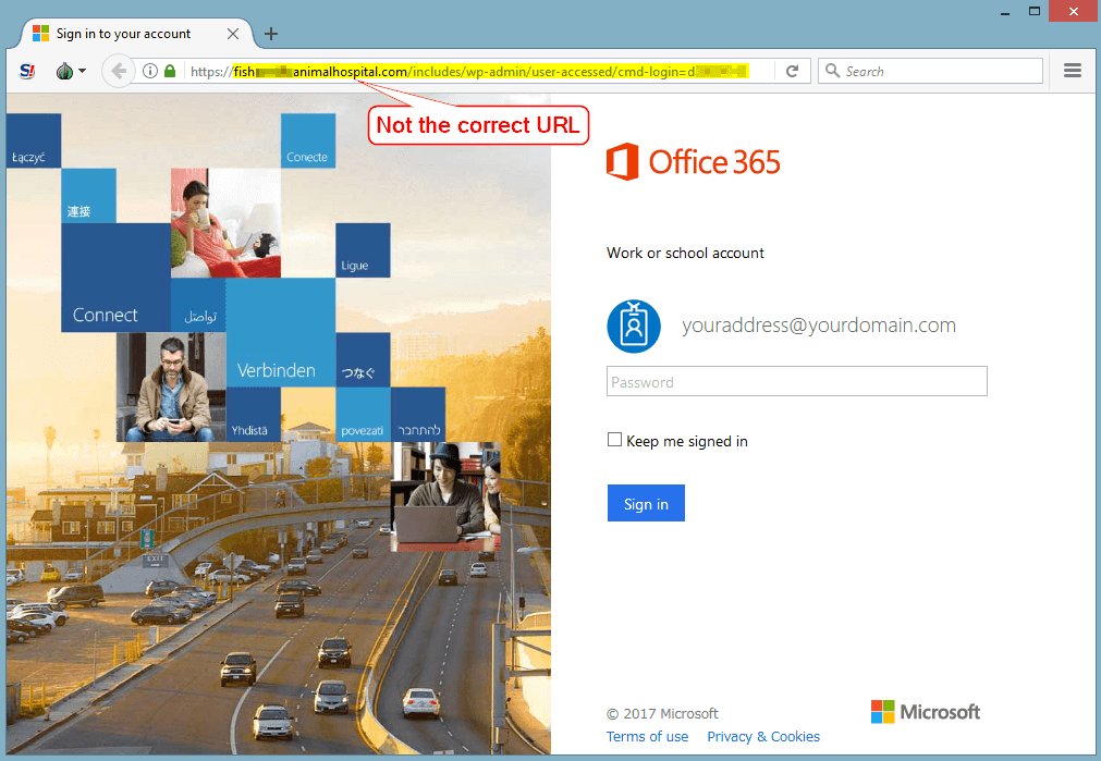 Fake Office365 Login Portal
